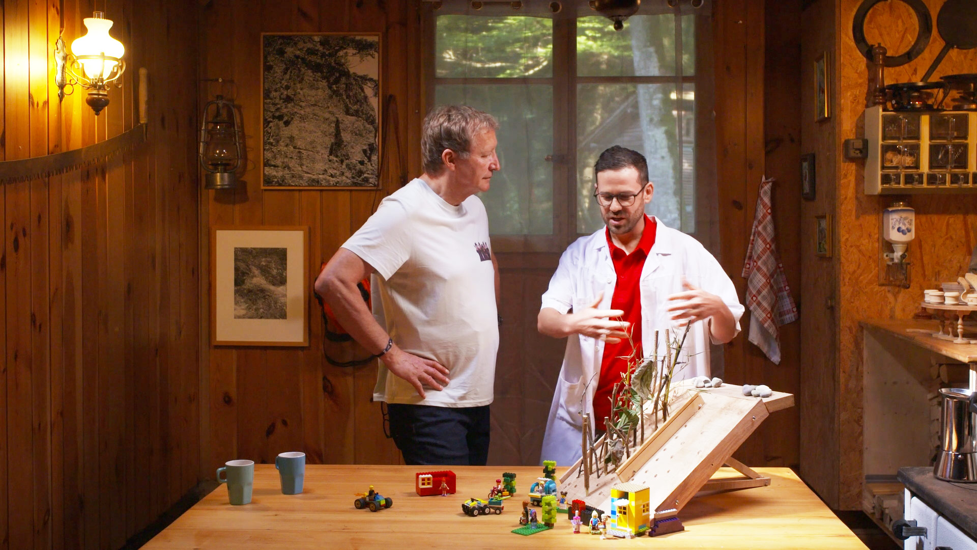 Explication du fonctionnement d'une forêt protectrice