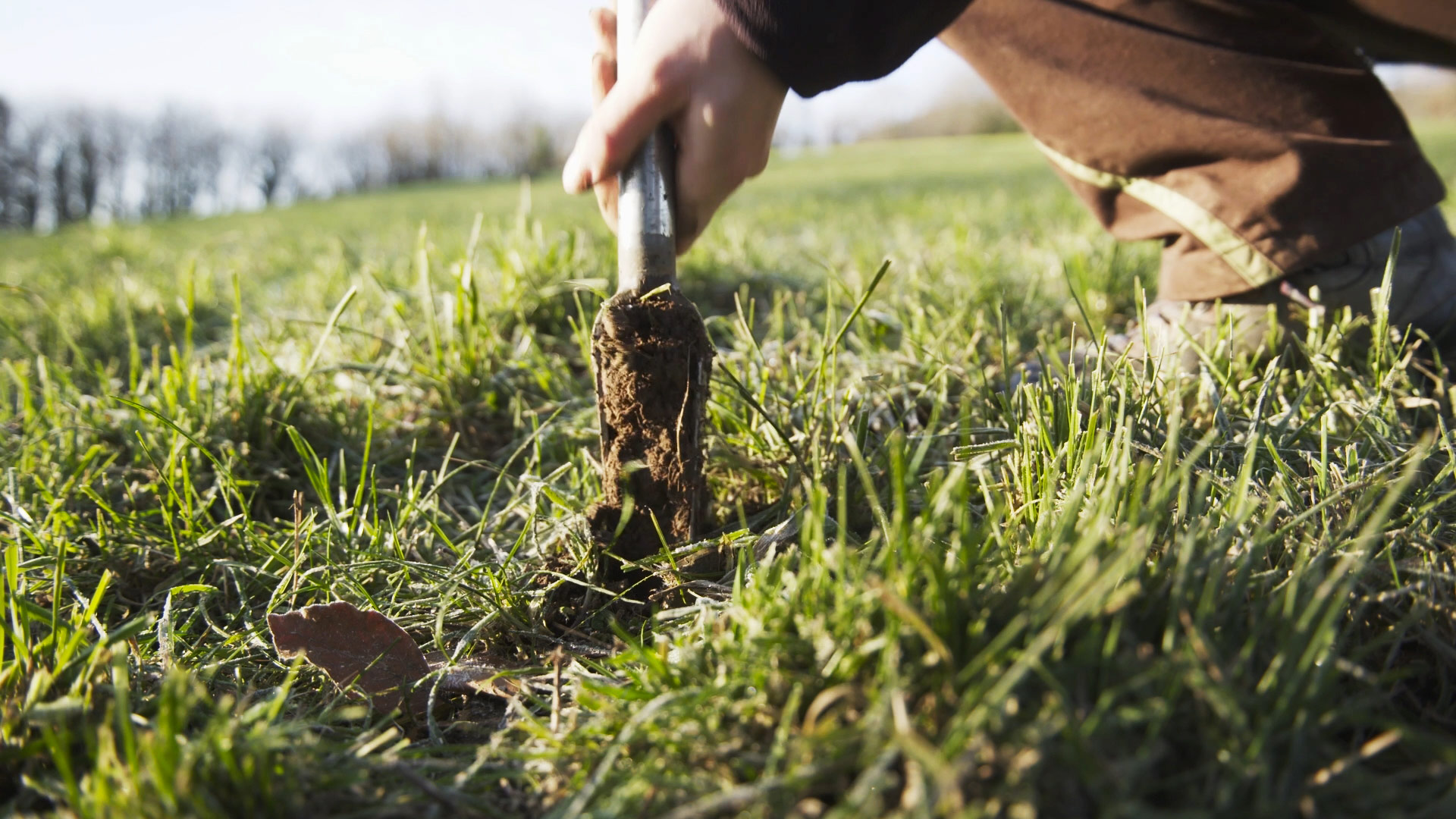 Carotage à la Baramine